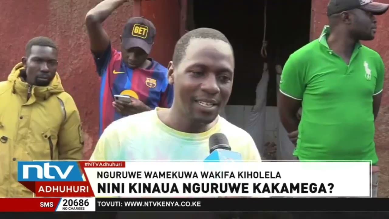Wafugaji wa nguruwe Kakamega waendelea kukadiria hasara kufuatia visa vya kufariki kwa nguruwe