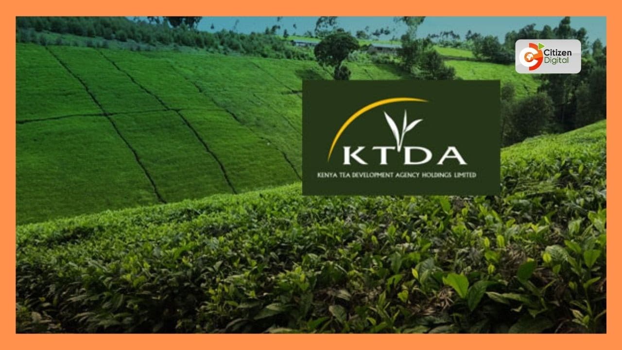 Makarani 5 wa KTDA na viwanda binafsi wakamatwa Kericho