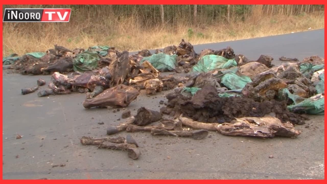 Aikari kũrũrũngana magĩtetia gũteyo kwa matigari ma bunda ta mĩtwe na mahĩndĩ, Juja