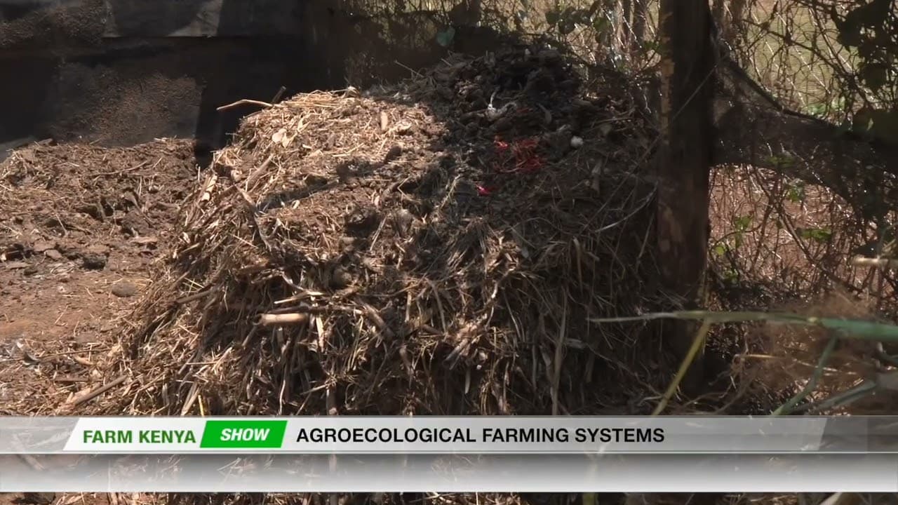 Agroecology: All you need to know