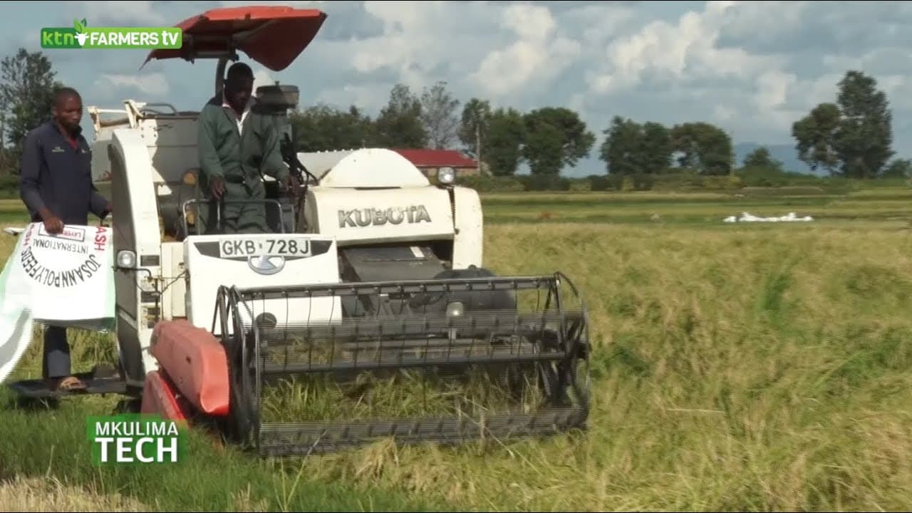 Improving Rice yield using technology in Mwea - Mkulima Tech