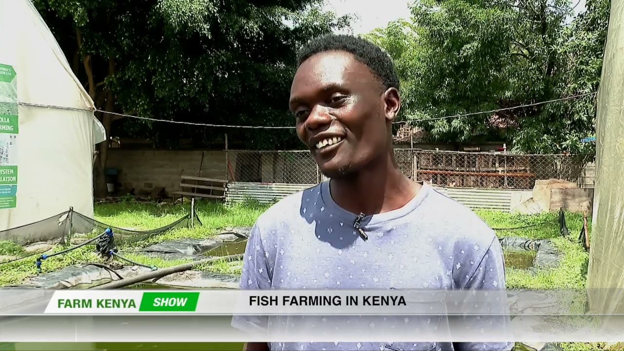 How Eugene Started Fish Farming in Recycled Drums—Now He's Feeding His Community