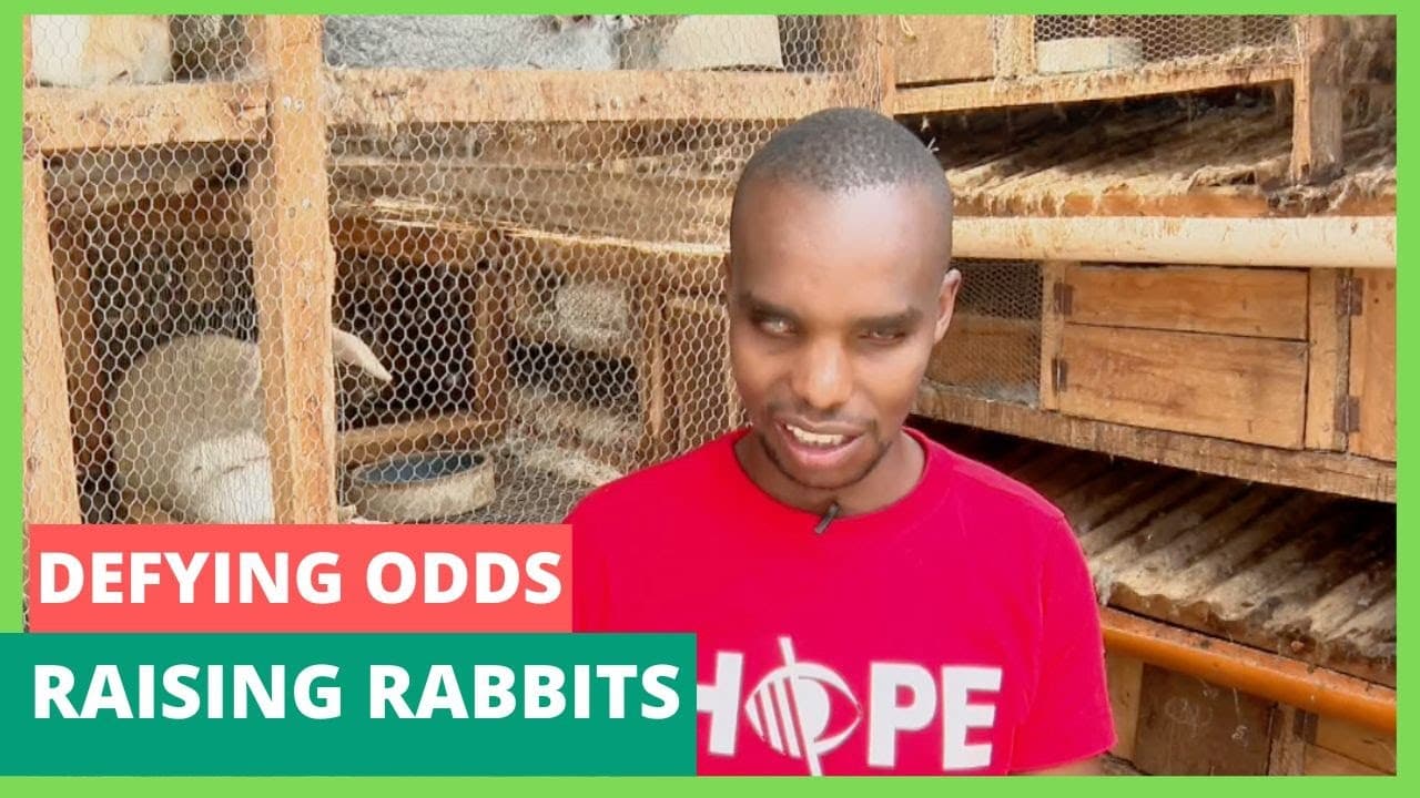 Defying Odds Raising rabbits - FarmGuide