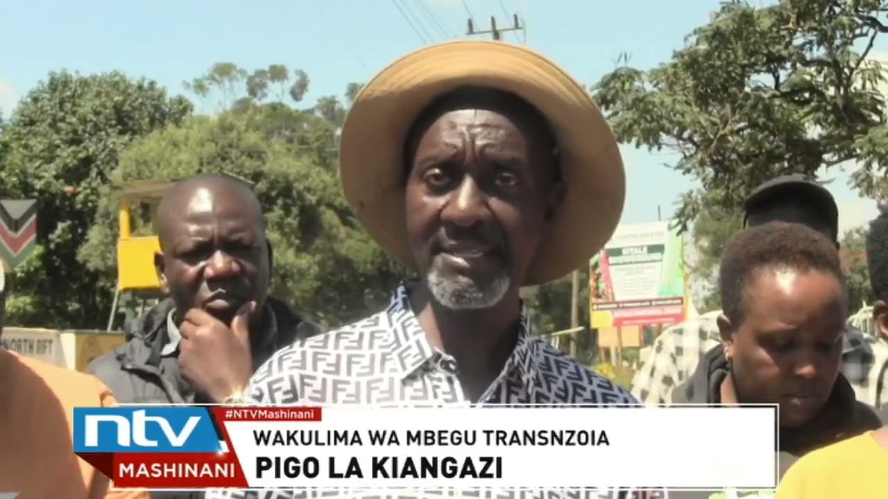 Trans Nzoia: Wakulima wa mbegu ya mahindi walalamikia mazao duni