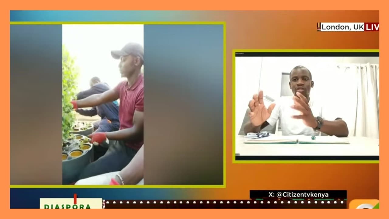 | DIASPORA CONNECT | Kenyans in European Agriculture