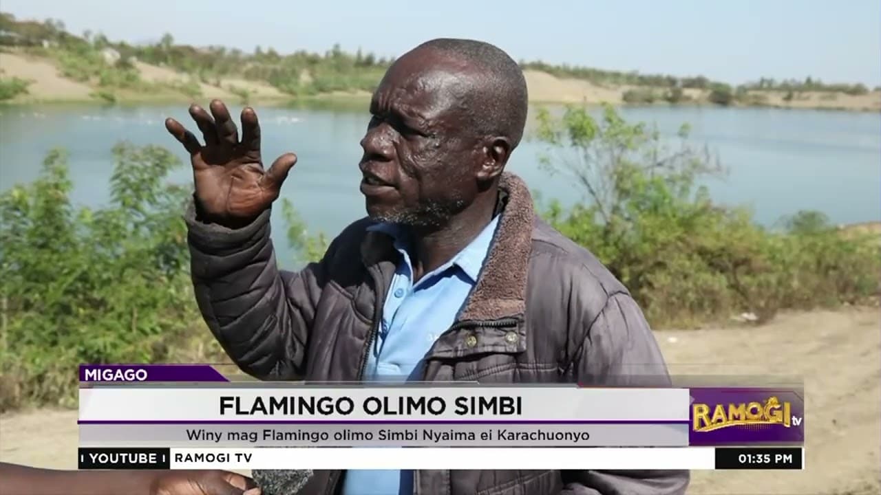 Winy mag Flamingo olimo Simbi Nyaima ei Karachuonyo