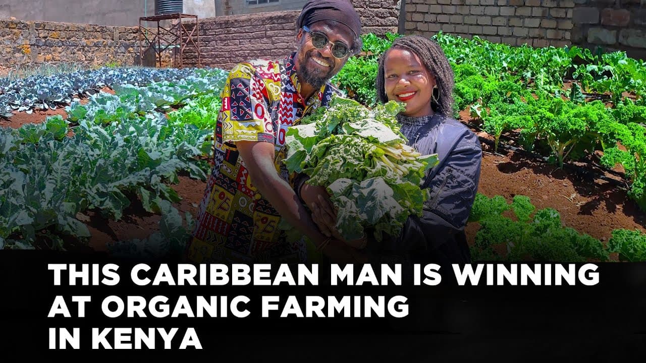 He Rejected Western Food Systems and Now Practices Organic Farming in Kenya | Lynn Ngugi Network