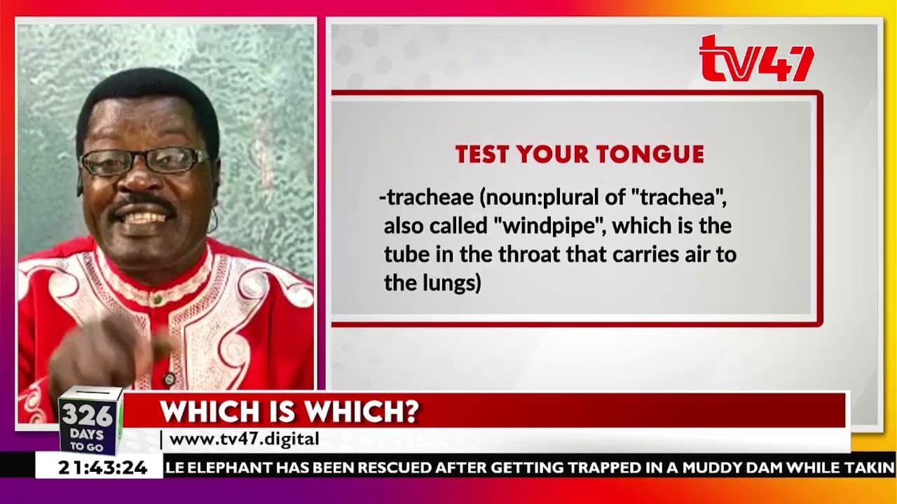 Which is Which with Willice Ocheing 19/09/2026 || TV47Prime with Peter Kamau