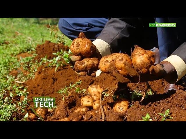 Data driven Agriculture is the now and future