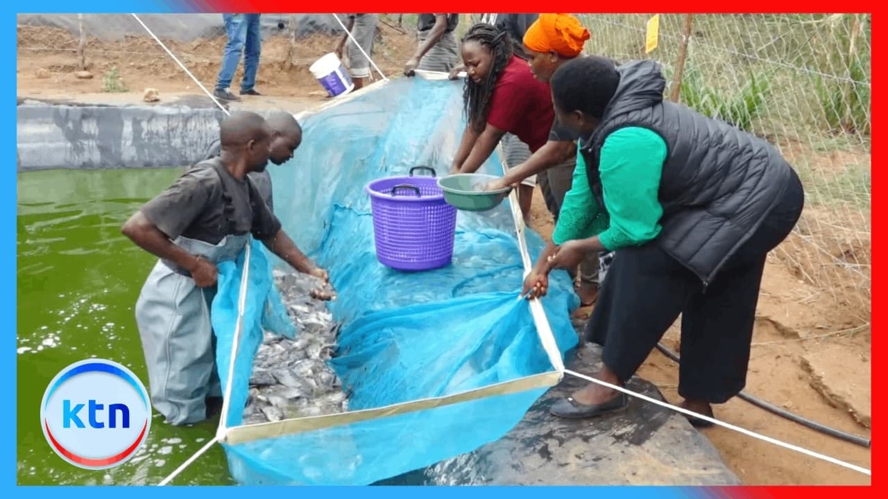 Mwatate Poachers Abandon Wildlife Hunting, Embrace Fishing