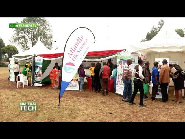Atlantis Life Science with veterinary solutions - Poultry & Dairy mechanisation Open day |Ndumberi|