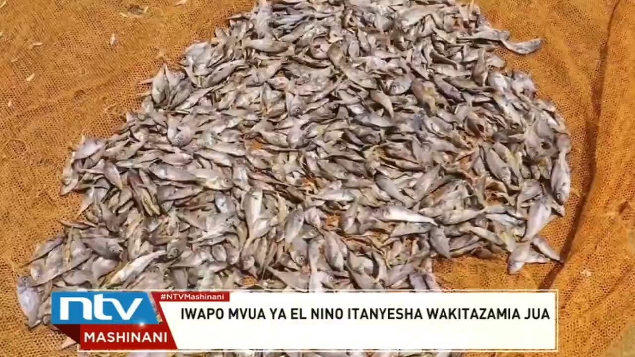 Budalang’i: Wafanyabiashara wa omena wahofia kukumbana na hasara kutokana na El Niño