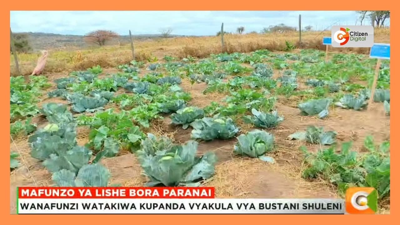 Wanafunzi Paranai wahimizwa kupanda vyakula vya bustani