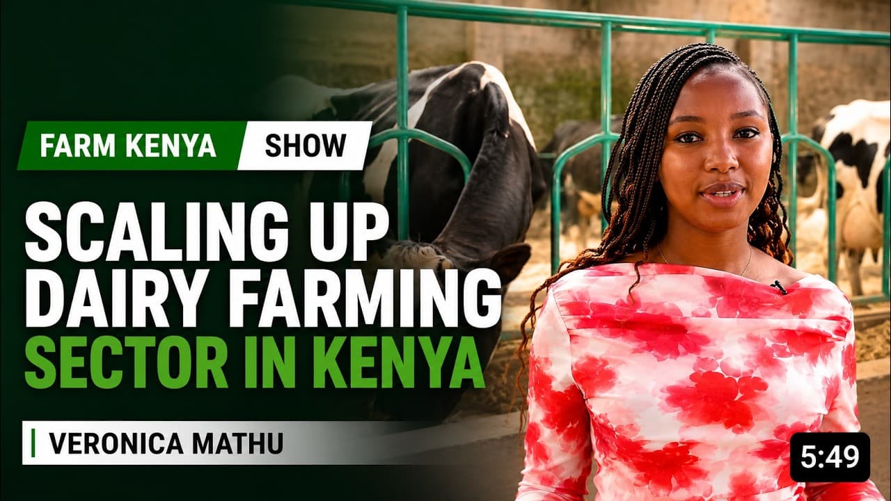 From 2 to 10 Cows: How 19-Year-Old Veronica Mathu is Scaling Up Dairy Farming in Kenya