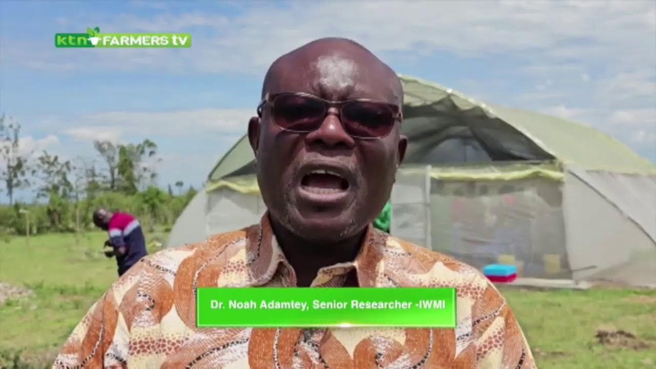 KTN Farmers TV Live stream