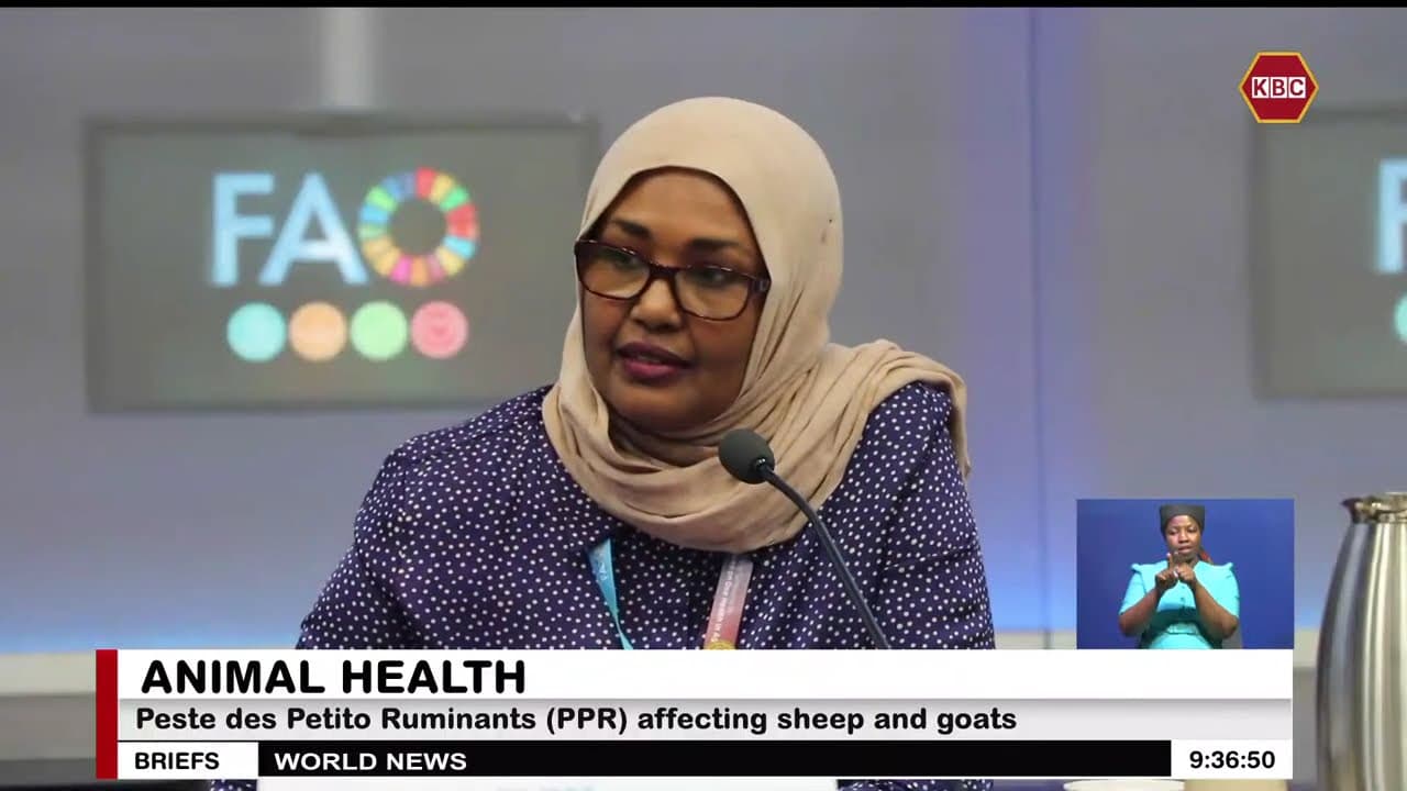EU pledges Sh7.38 billion to eradicate livestock disease in Africa
