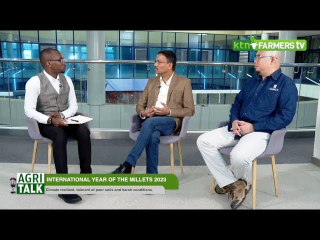 Why Millet farming is important - drought resistant |Agritalk part 1|
