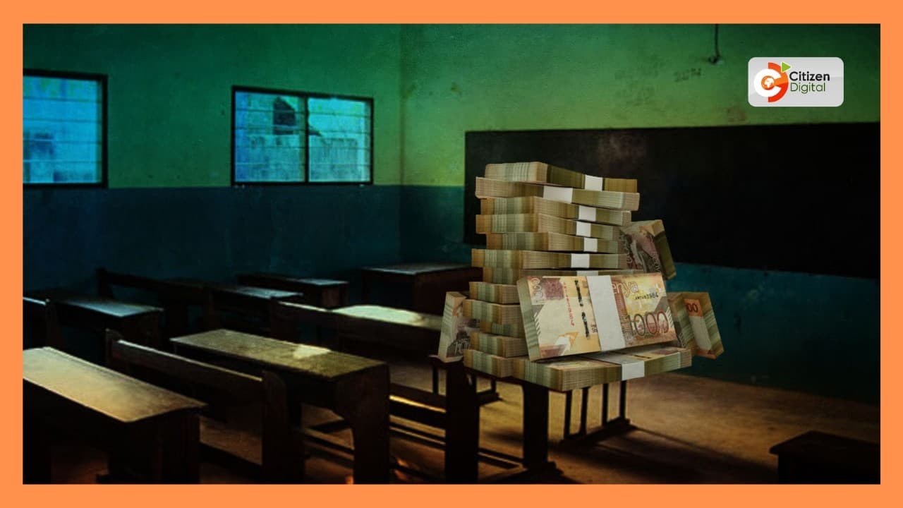 Basic Education Bill enters public participation amid expert concerns