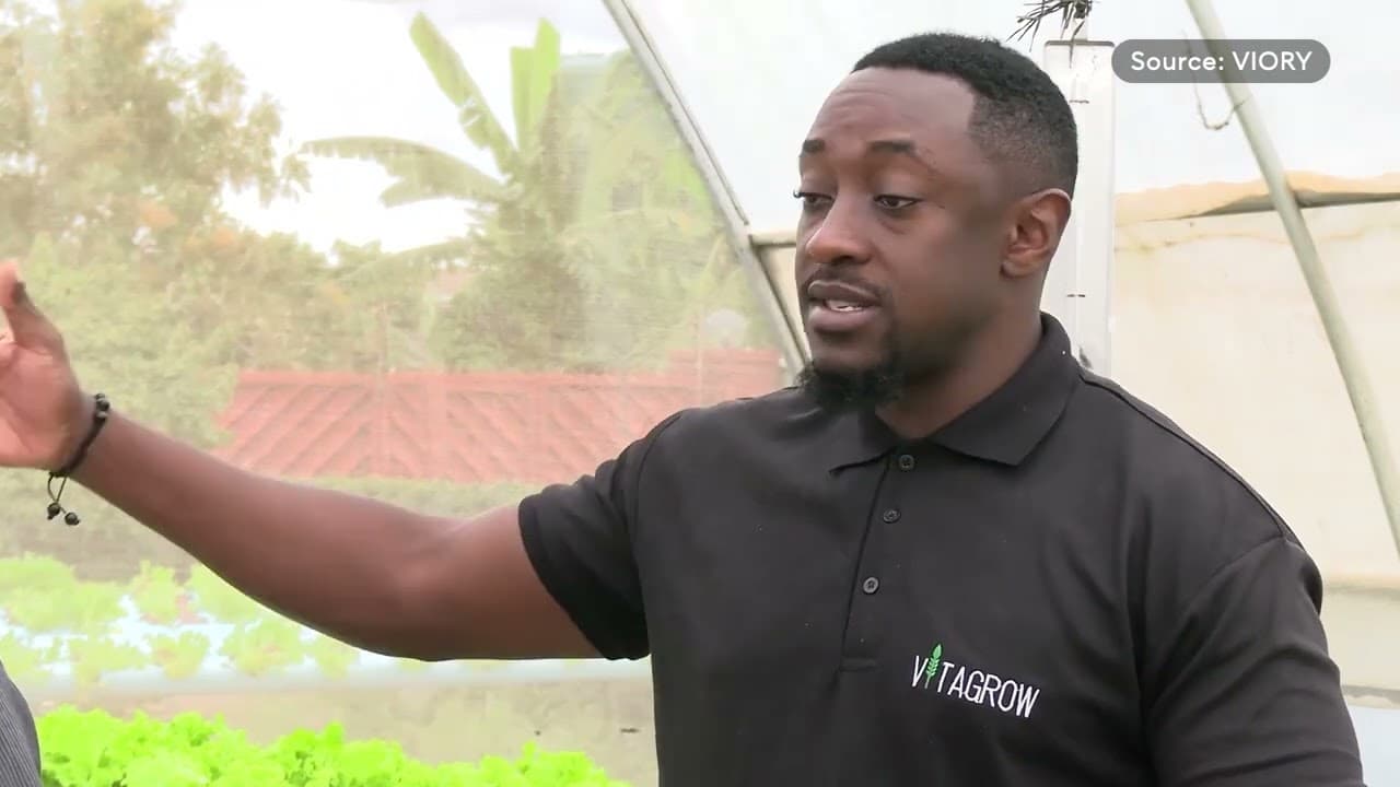 EARNING BIG FROM A SMALL SPACE IN THE FARM