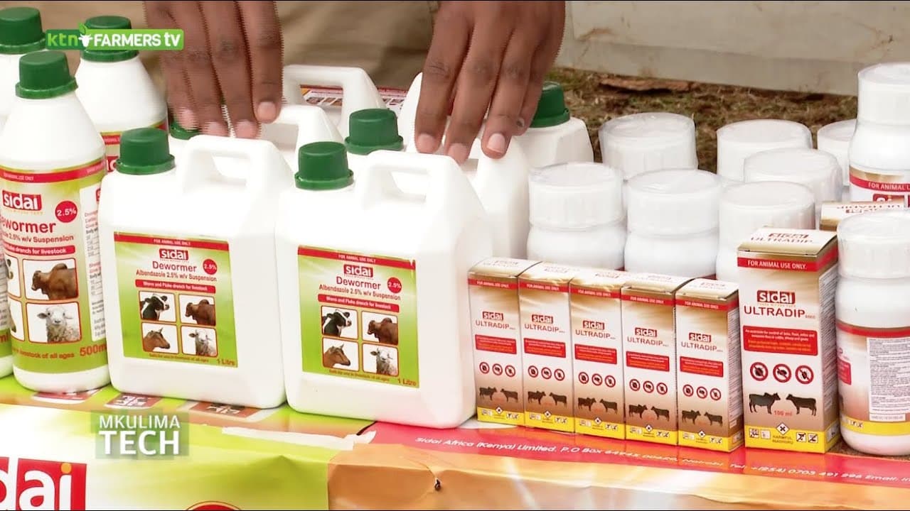 Sidai Africa providing agricultural inputs for farmers - Mkulimatech