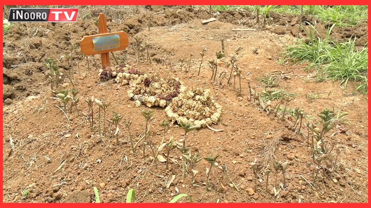Ayuthi gũtee mwĩhoko thutha wa mũtũrĩre thutha wa kũrika mũtondo-inĩ wa njohi thumu, Nyeri