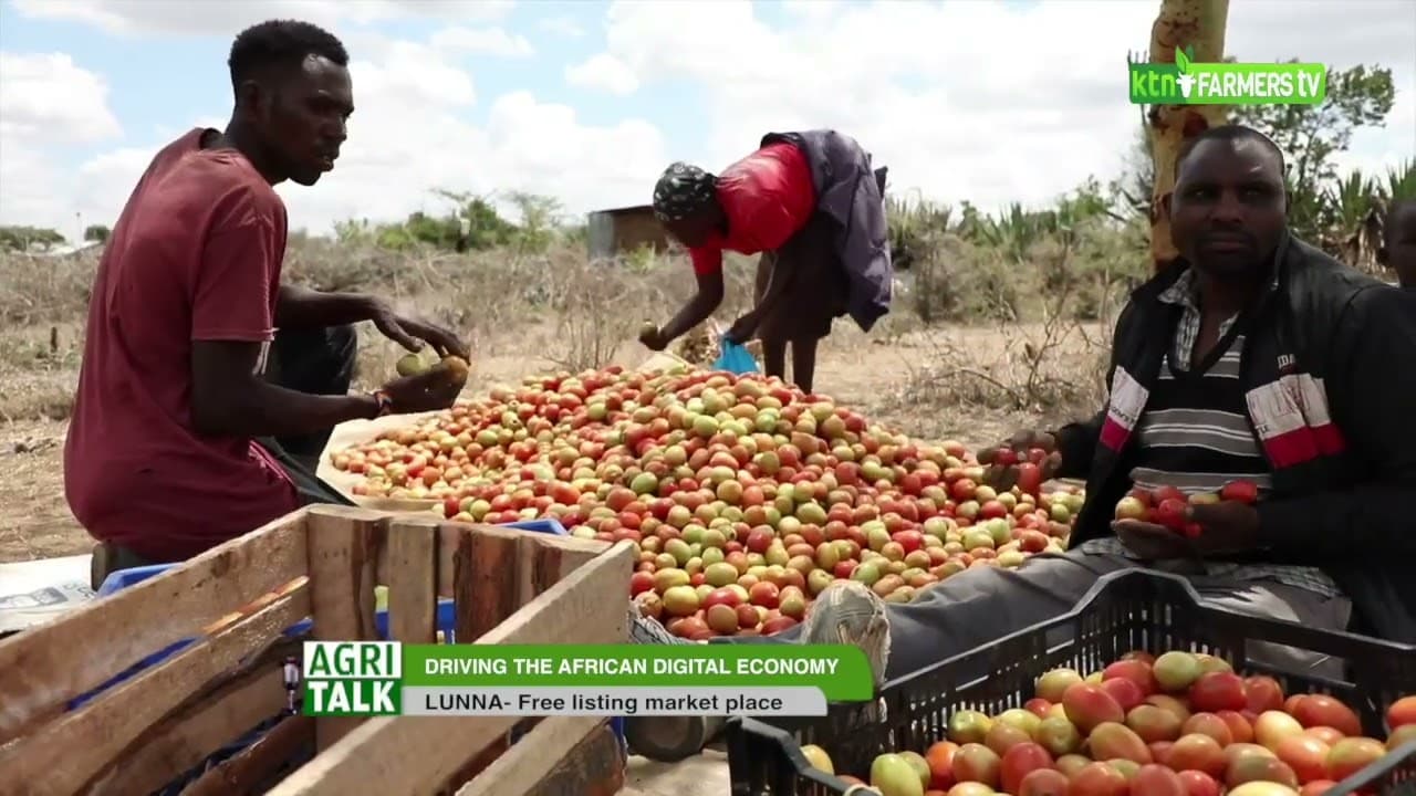 LUNNA- driving the African digital economy  PART 2