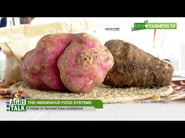 Indigenous food system and responsible healthy consumption - Agritalk Part 1
