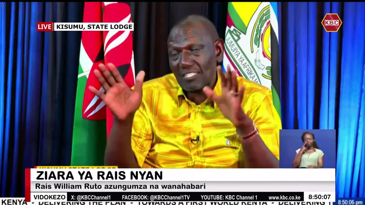 What worries me is the number of jobless young people - President Ruto