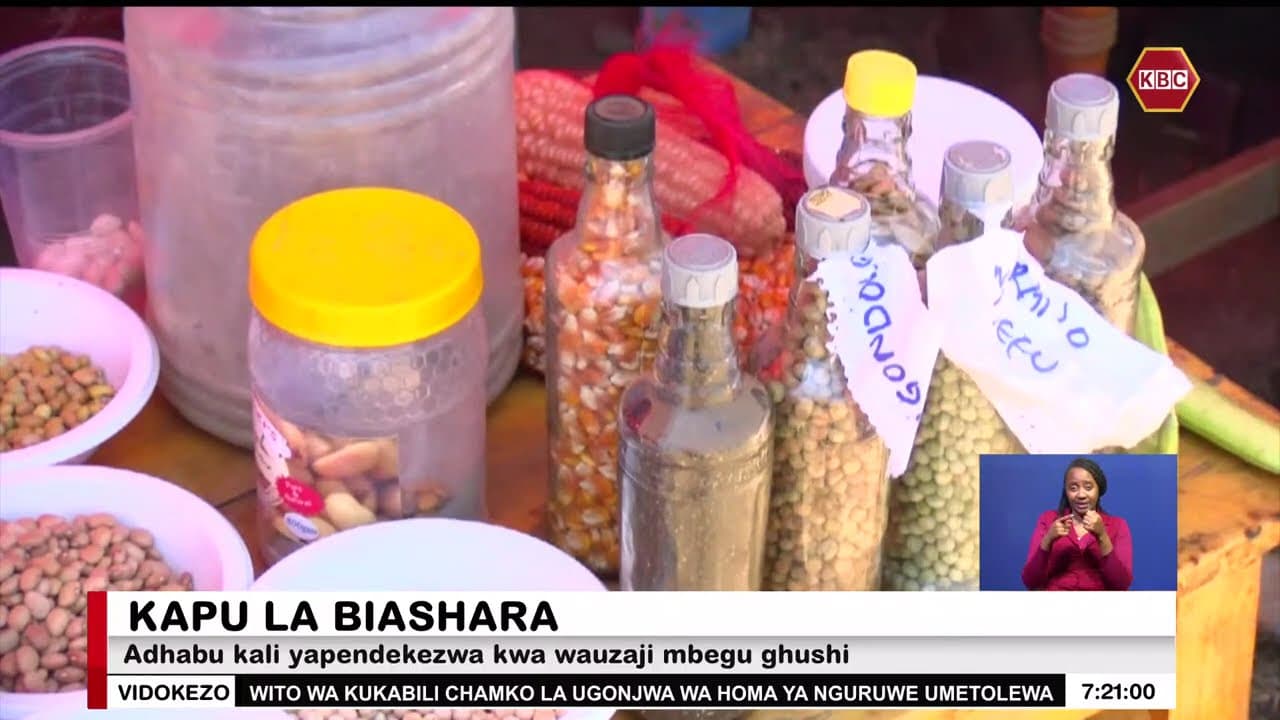 Habari za Biashara | Adhabu kali yapendekezwa kwa wauzaji mbegu ghushi