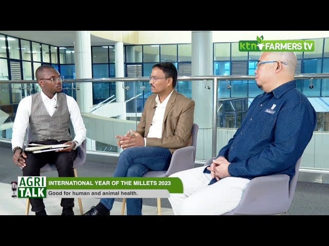 Why Millet farming is important - drought resistant |Agritalk part 2|