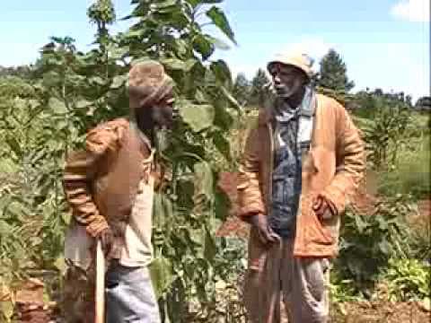 HUTIA NGOIGE BY  KANYUIRA, KIOGOTHE, NYATORO AND OTHERS