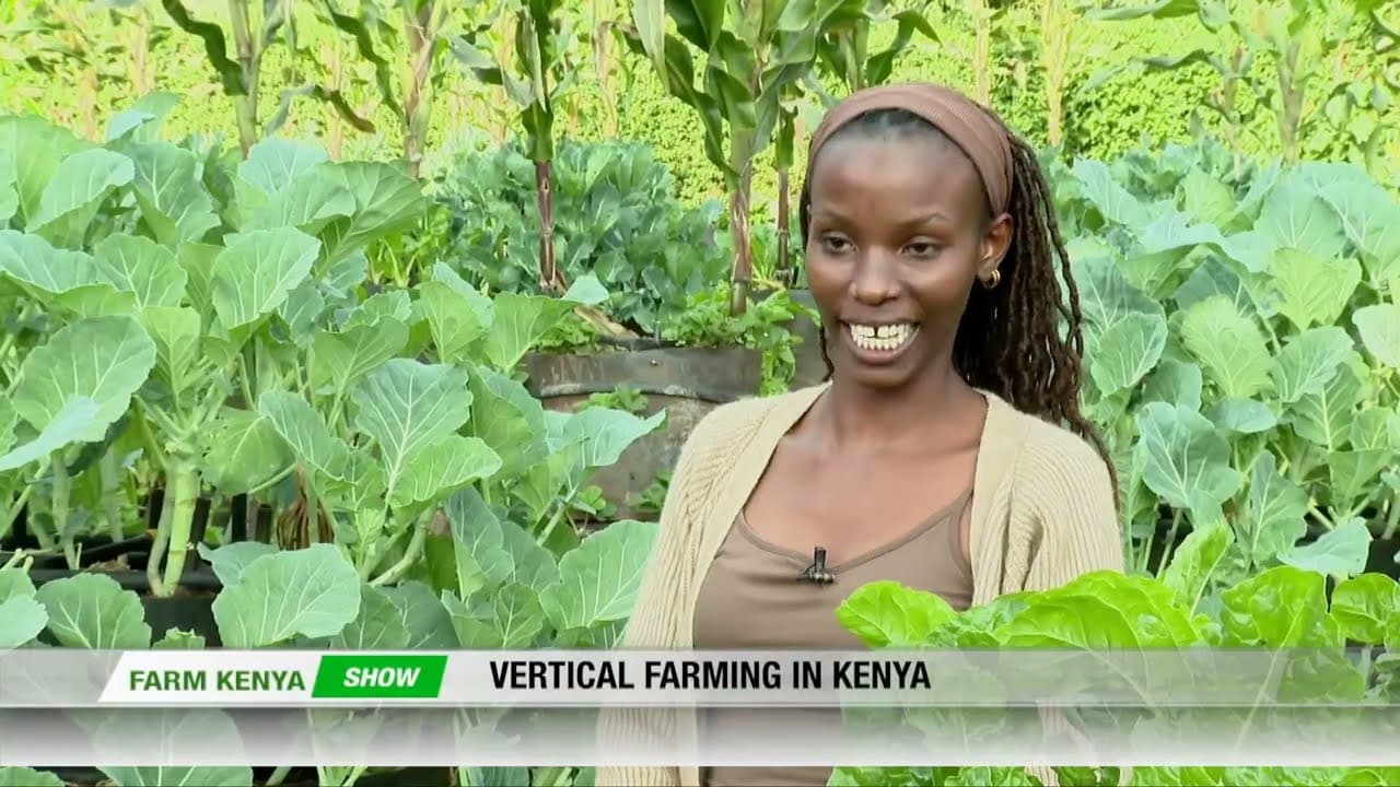 How Faith Wanjiku Makes Money From Vertical Farming in Kenya