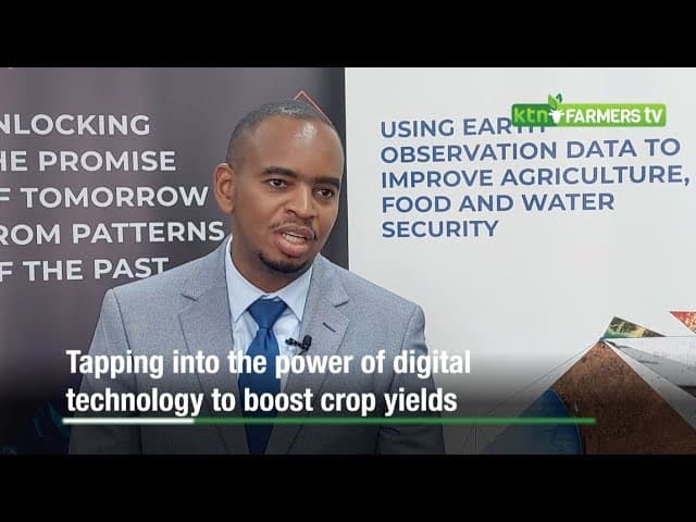 Farmers tapping into the power of digital technology to boost crop yields and improve food security