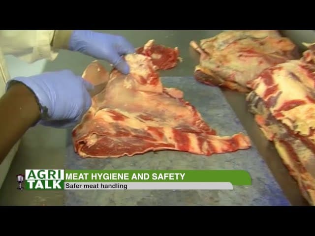 Meat Hygiene and safety - safe meat processing |part 1|