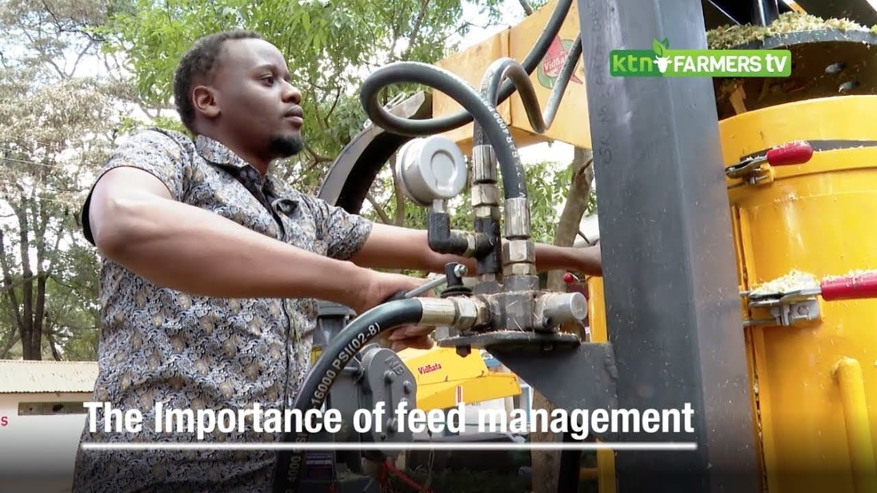 Most farmers are slaves to their animals   Importance of feed management