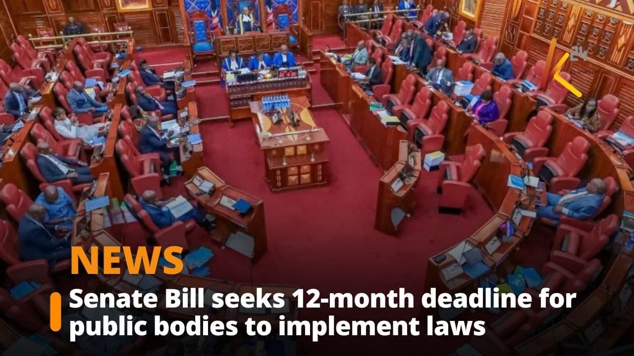 Senate Bill seeks 12-month deadline for public bodies to implement laws