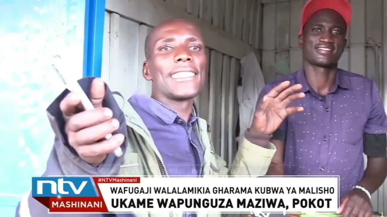Ukame wapunguza maziwa Pokot Magharibi