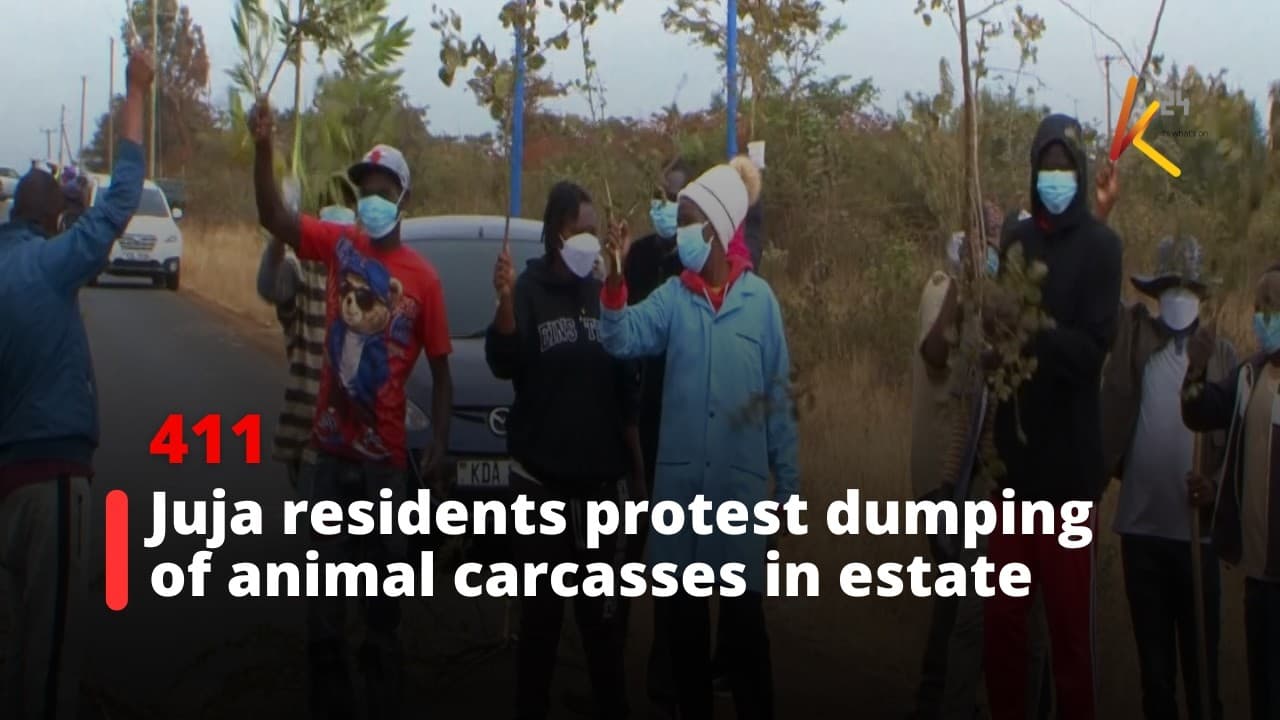 Juja residents protest dumping of animal carcasses in estate