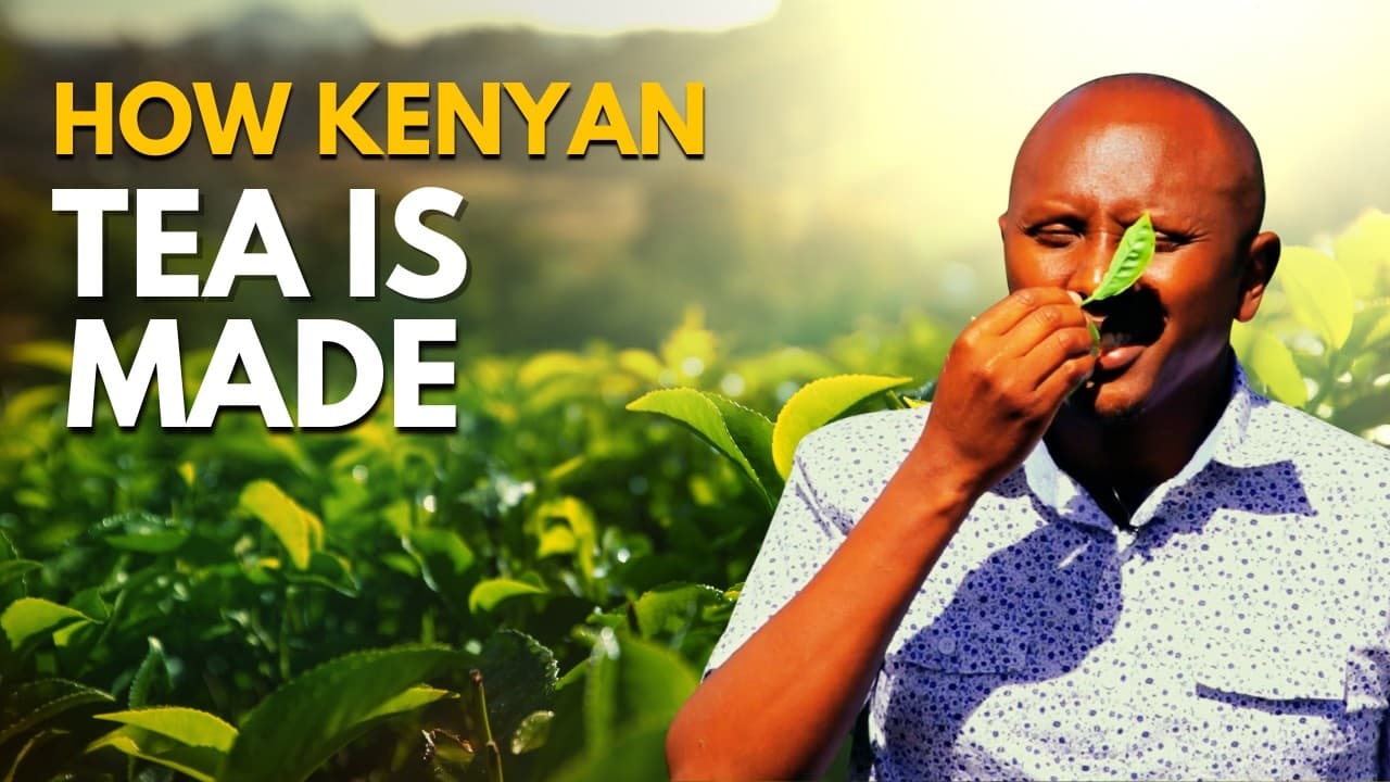 "From Leaf to Cup: Unveiling the Art & Soul of Kenyan Tea"