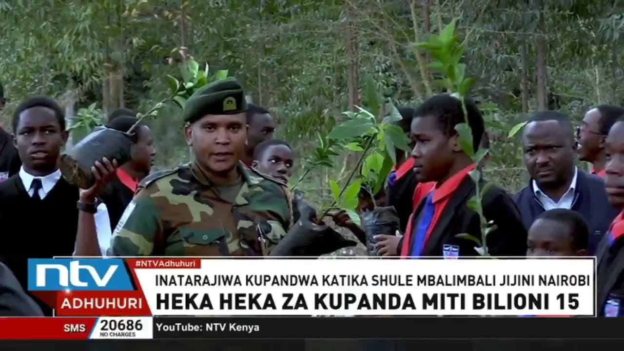 Angalau miche ya matunda elfu moja inatarajiwa kupandwa katika shule mbalimbali Nairobi