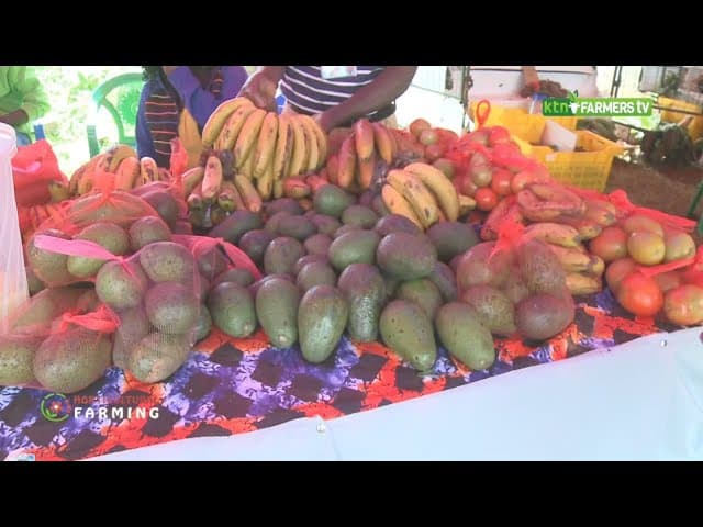 Why you should consider going organic - Kilimo Hai