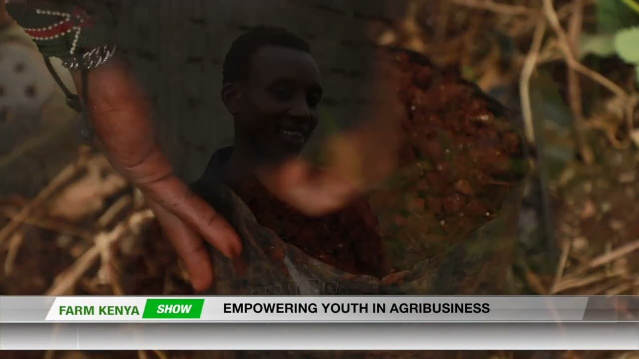 EMPOWERING YOUTH IN AGRIBUSINESS