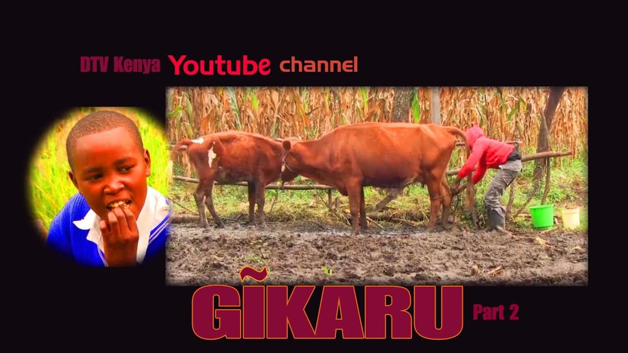 Gikaru (part 2 of 2)