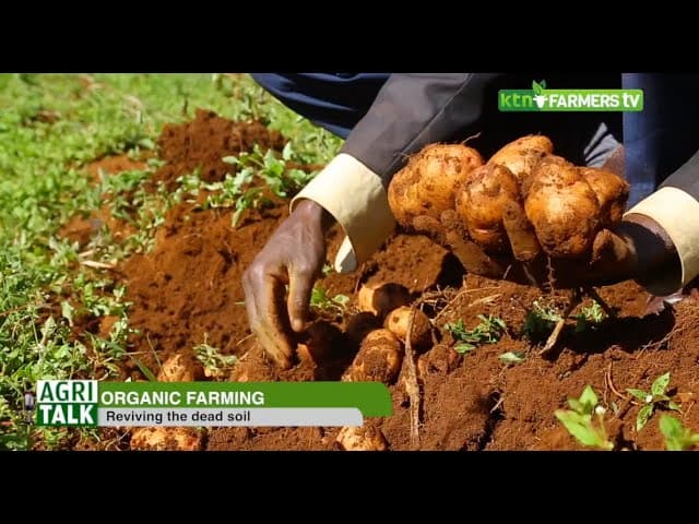 Organic farming and reviving dead soil - AgriTalk |part 1|