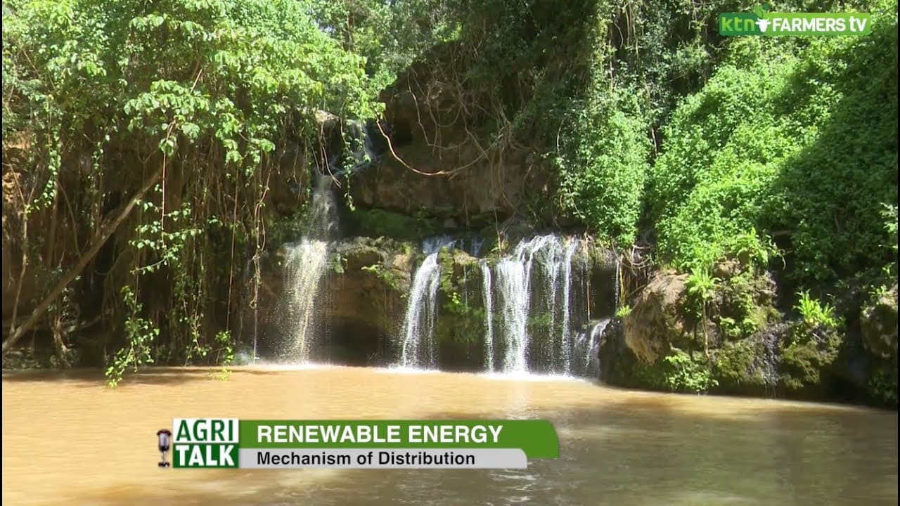 Embracing renewable energy and the role of Rain forest alliance - AgriTalk