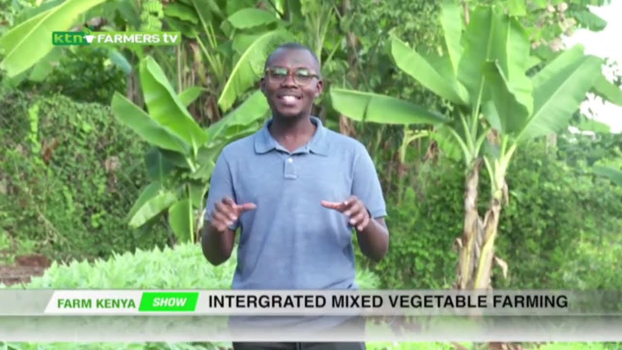 KTN Farmers TV Live stream