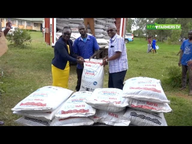 Fish feeds for farmers - aquaculture business development programme