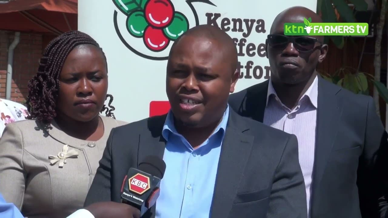 The Kenya Coffee platform KCP