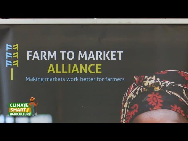 Producing "for the market" not "to the market"