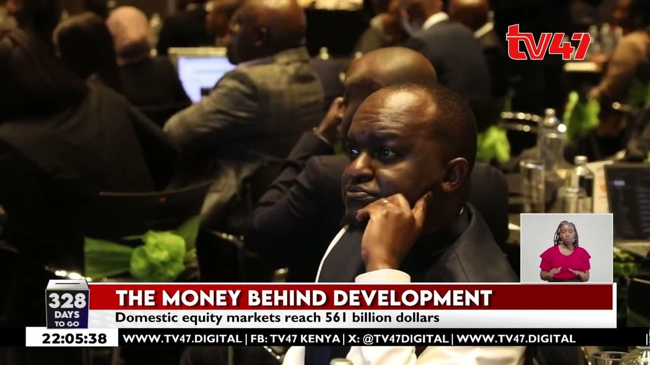 Africa seeks to mobilise domestic capital